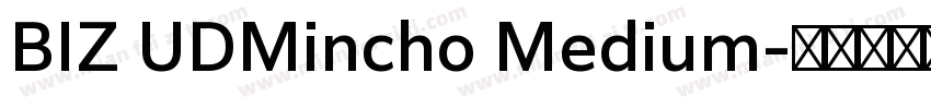 BIZ UDMincho Medium字体转换